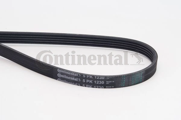 V-ribbed Belt